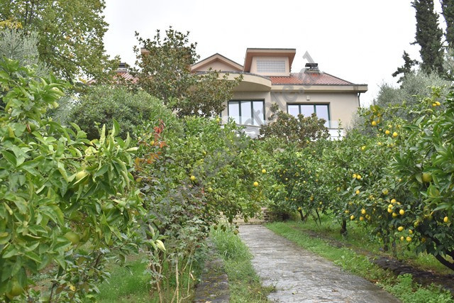 Three storey villa for rent in Panorama e Liqenit Street, in the Farka area in Tirana, Albania.
It 